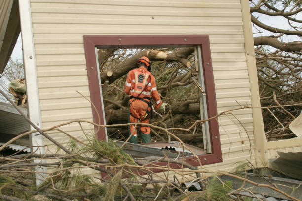 How Our Tree Care Process Works  in  Dixon, KY